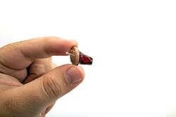 Digital Hearing Aids