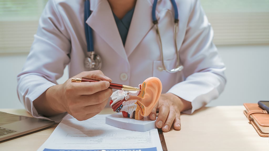 VAC Hearing Services